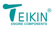 Логотип бренда TEIKIN